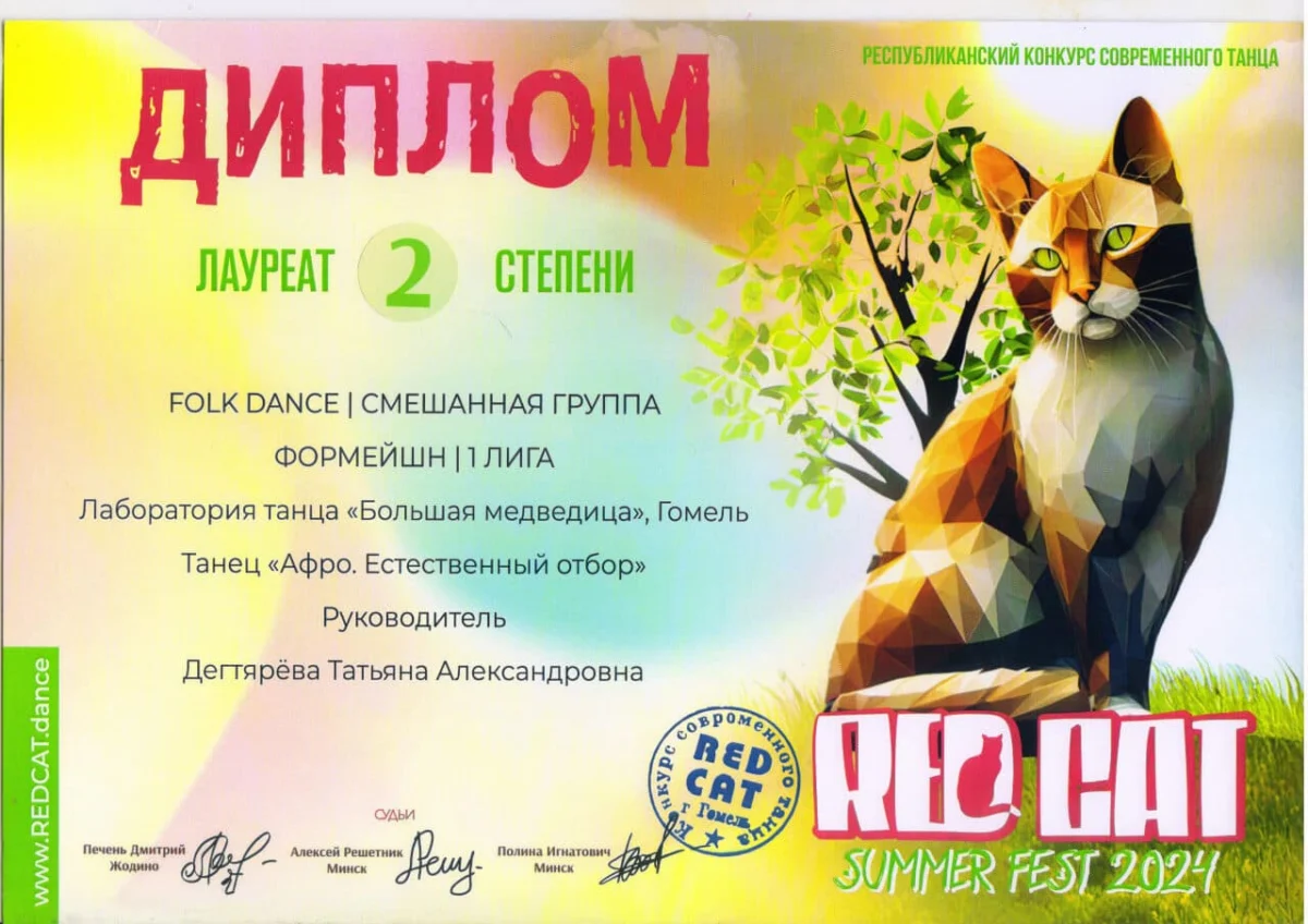 Диплом Лауреат 2 степени FORK DANCE